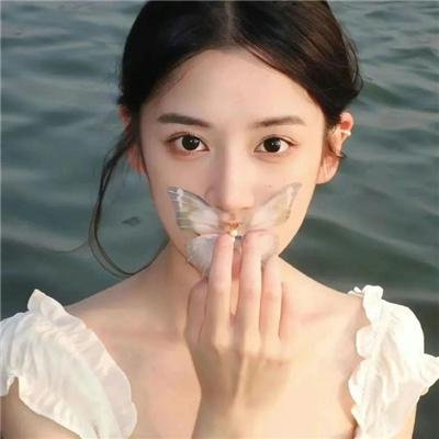 仲夏夜玫瑰